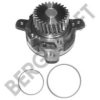 BERGKRAFT BK4307711WP Water Pump